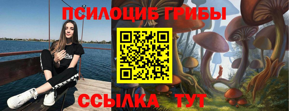 Каменск-Шахтинский  Псилоцибиновые грибы мицелий  Вход с VPN 
